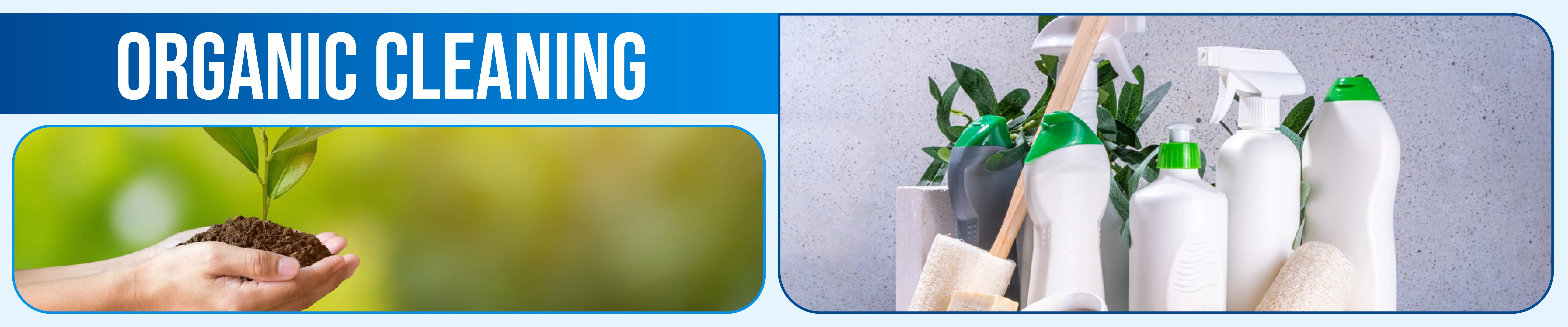 carpet cleaning in Nassau, carpet cleaner in Nassau, carpet cleaners in Nassau, carpet cleaners in Nassau, drapery cleaners in Nassau, carpet cleaning in Nassau, mattress cleaning in Nassau, mattress cleaners in Nassau, commercial carpet cleaning,commercial carpet cleaners in Nassau , Nassau rug cleaners, rug cleaning services in Nassau same day carpet cleaning, same day rug cleaning