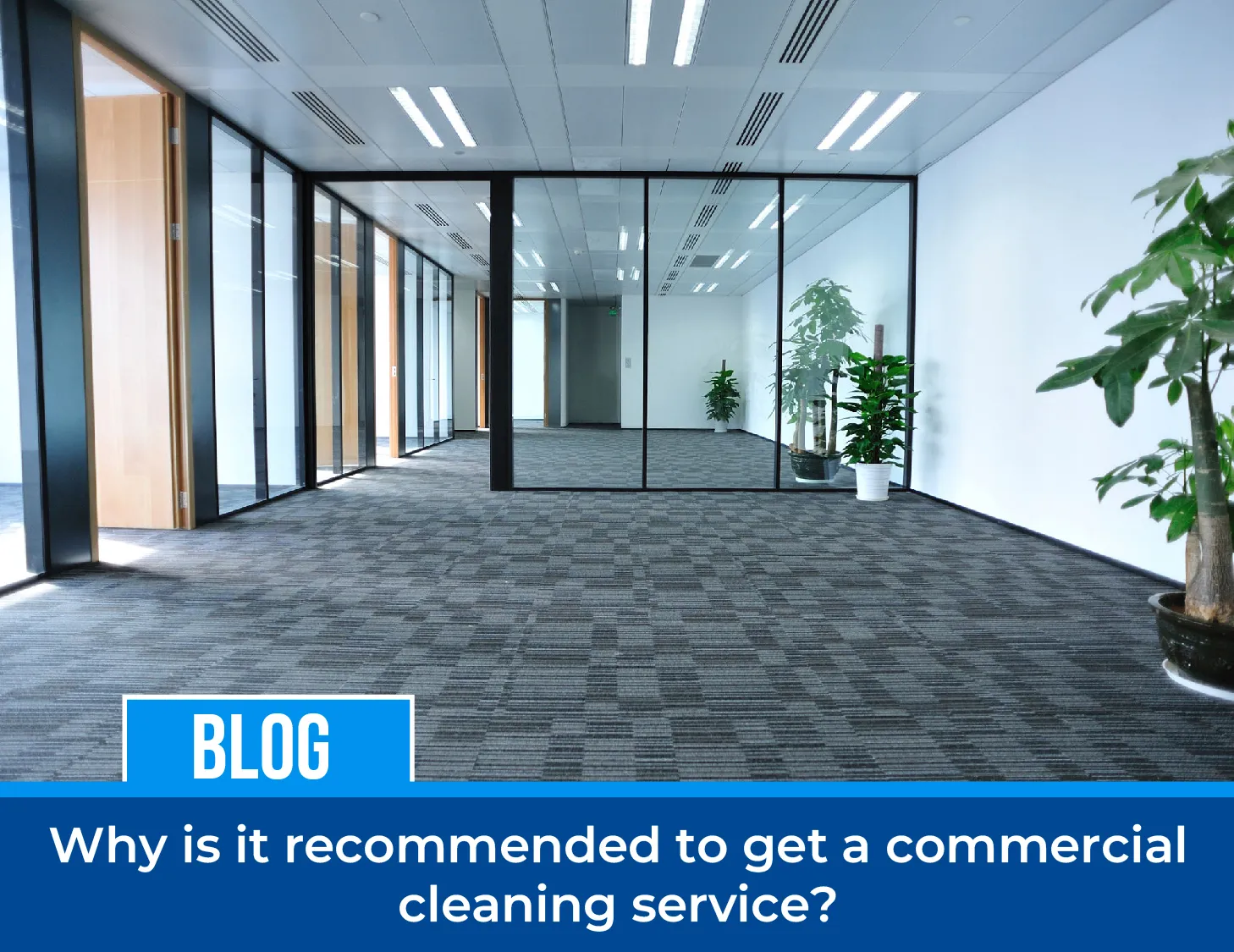 carpet cleaning in Nassau, carpet cleaner in Nassau, carpet cleaners in Nassau, carpet cleaners in Nassau, drapery cleaners in Nassau, carpet cleaning in Nassau, mattress cleaning in Nassau, mattress cleaners in Nassau, commercial carpet cleaning,commercial carpet cleaners in Nassau , Nassau rug cleaners, rug cleaning services in Nassau same day carpet cleaning, same day rug cleaning