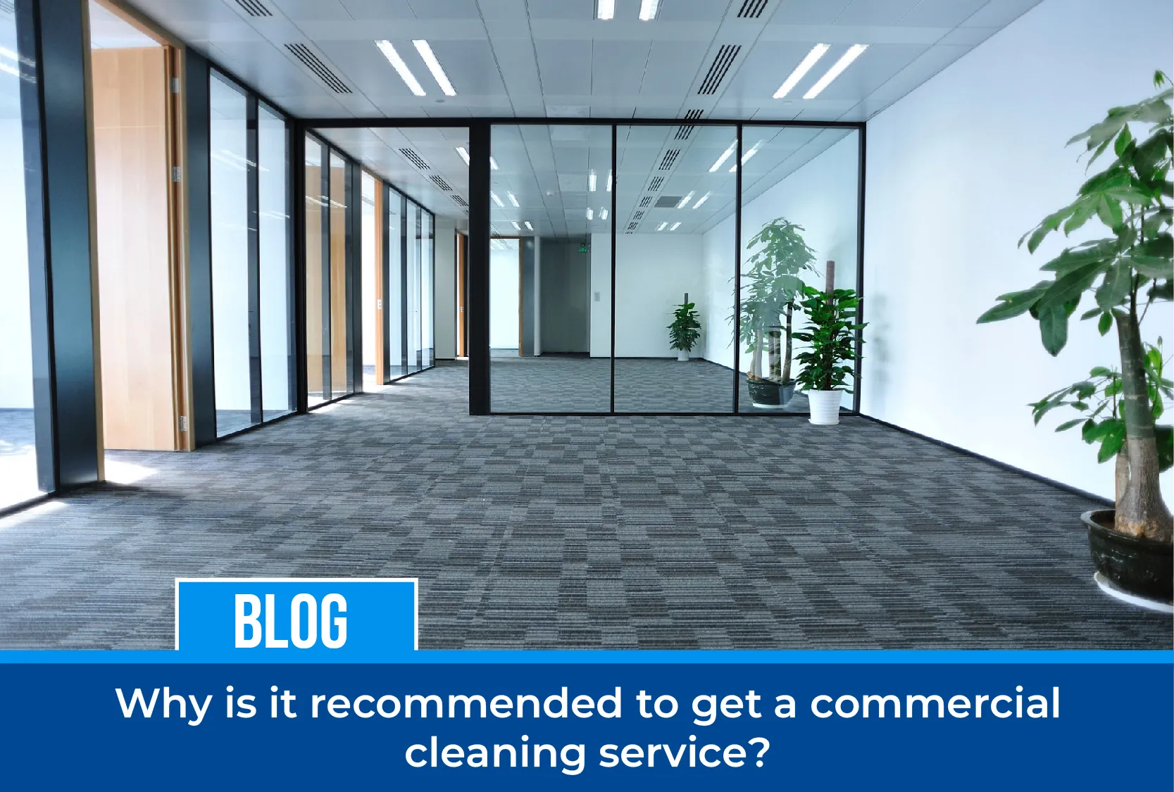 carpet cleaning in Nassau, carpet cleaner in Nassau, carpet cleaners in Nassau, carpet cleaners in Nassau, drapery cleaners in Nassau, carpet cleaning in Nassau, mattress cleaning in Nassau, mattress cleaners in Nassau, commercial carpet cleaning,commercial carpet cleaners in Nassau , Nassau rug cleaners, rug cleaning services in Nassau same day carpet cleaning, same day rug cleaning