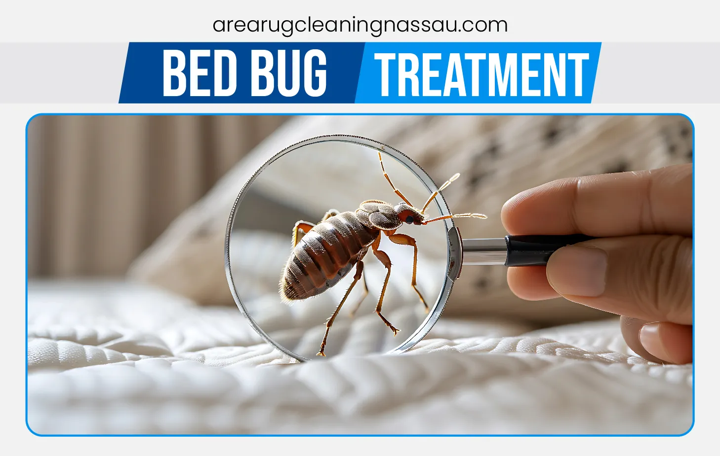 carpet cleaning in Nassau, carpet cleaner in Nassau, carpet cleaners in Nassau, carpet cleaners in Nassau, drapery cleaners in Nassau, carpet cleaning in Nassau, mattress cleaning in Nassau, mattress cleaners in Nassau, commercial carpet cleaning,commercial carpet cleaners in Nassau , Nassau rug cleaners, rug cleaning services in Nassau same day carpet cleaning, same day rug cleaning