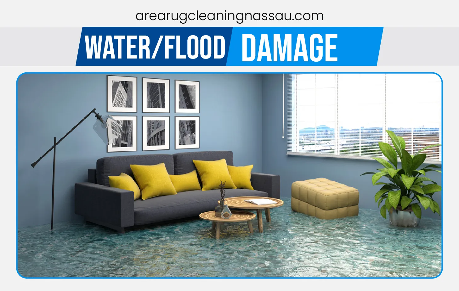 carpet cleaning in Nassau, carpet cleaner in Nassau, carpet cleaners in Nassau, carpet cleaners in Nassau, drapery cleaners in Nassau, carpet cleaning in Nassau, mattress cleaning in Nassau, mattress cleaners in Nassau, commercial carpet cleaning,commercial carpet cleaners in Nassau , Nassau rug cleaners, rug cleaning services in Nassau same day carpet cleaning, same day rug cleaning